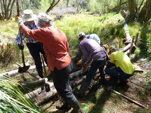 Figure 3: Volunteers building a detention cell from woody debris found on site.