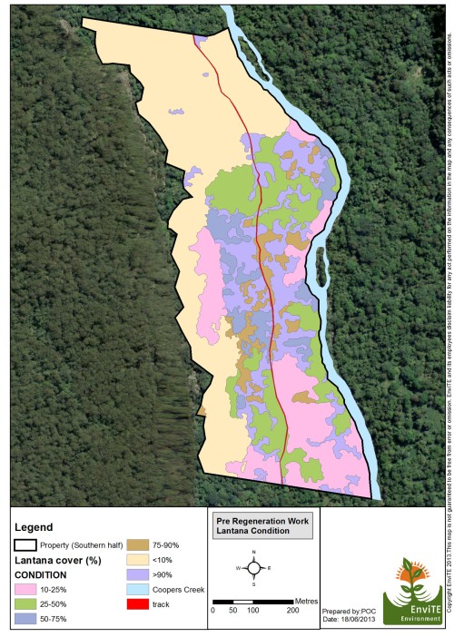 Figure 1. (map) Lantana cover prior to restoration. By 2014 very little lantana remained with regenerating rainforest taking the place of weeds.