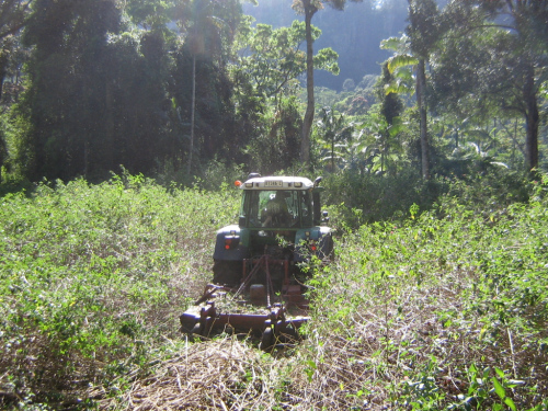 Figure 3.  17 September 2009: Tractor crushes down lantana