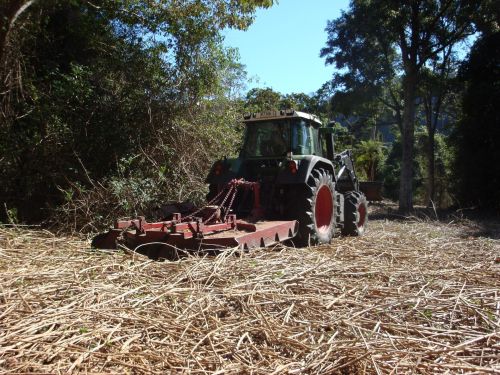 Figure 4. 21 October 2009: Second tractor run slashing lantana