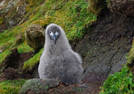 Image 4 DSC_1110 cropped