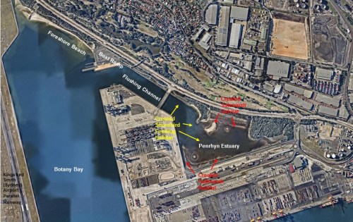Figure 2: Penrhyn Estuary 2015, four years after port expansion works.